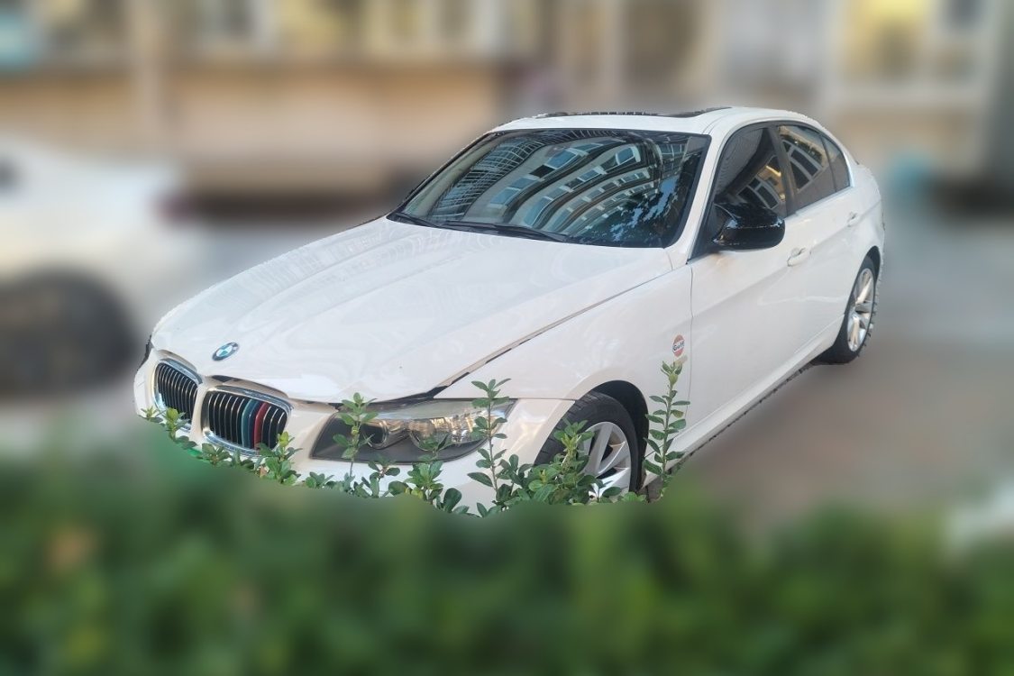 BMW 3 Series 2011 car image 