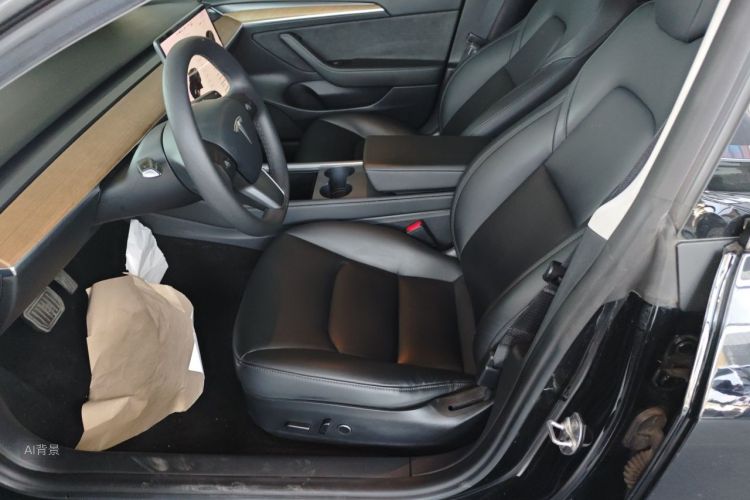 Tesla Model 3 2021 car image #17