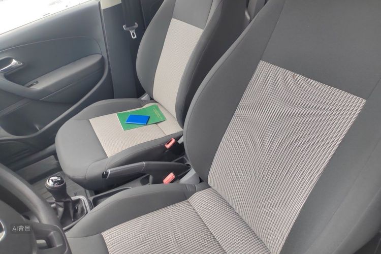 Volkswagen Polo 2015 car image #17