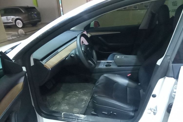 Tesla Model 3 2021 car image #16