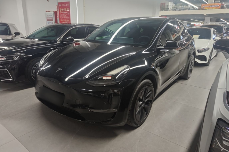 Tesla Model Y 2024 immagine di auto #2