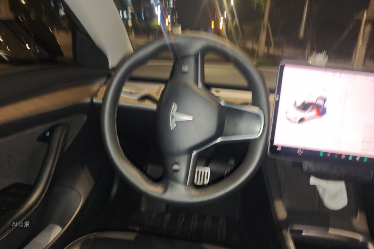 Tesla Model 3 2021 #12 Tesla Model 3 2021 car image #12