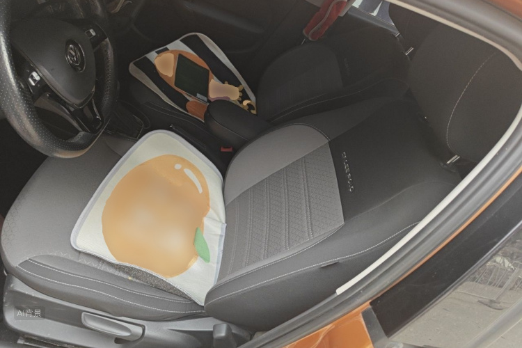 Volkswagen Polo 2015 car image #18
