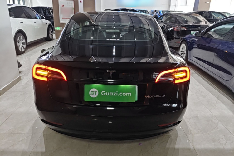Tesla Model 3 2021 #6 Tesla Model 3 2021 car image #6