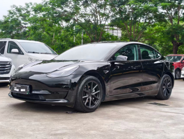 Tesla Model 3 2021 immagine di auto 