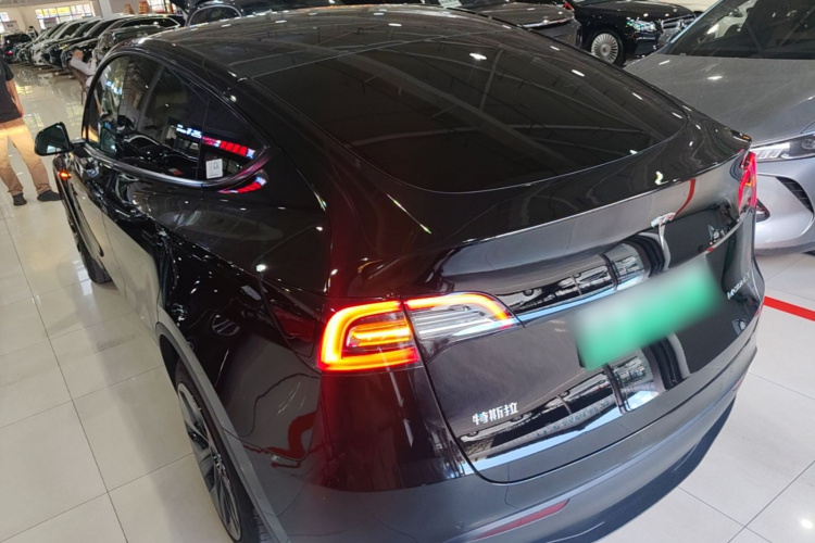 Tesla Model Y 2024 #5 Tesla Model Y 2024 car image #5