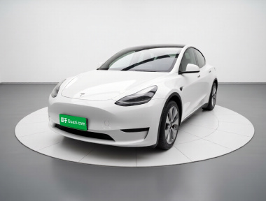 Tesla Model Y 2023 Tesla Model Y 2023 car image