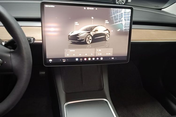 Tesla Model 3 2023 car image #16