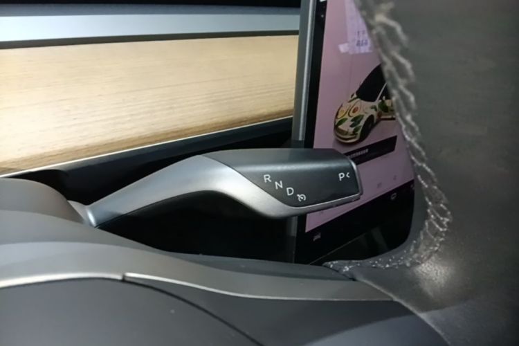 Tesla Model 3 2022 #14 Tesla Model 3 2022 immagine di auto #14