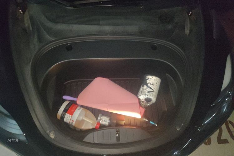 Tesla Model 3 2022 car image #22