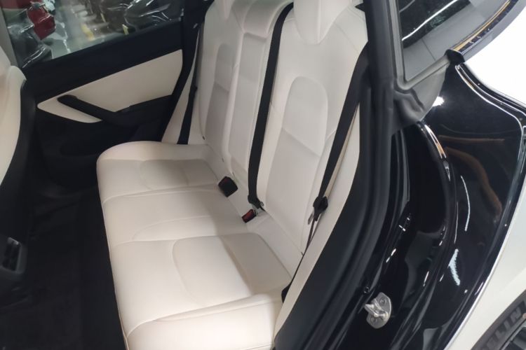 Tesla Model 3 2020 #17 Tesla Model 3 2020 car image #17