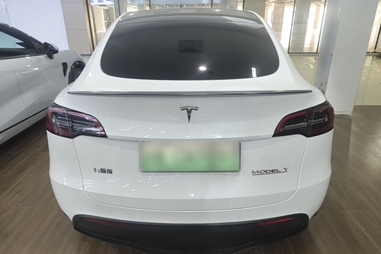 Tesla Model Y 2023 #4 Tesla Model Y 2023 car image #4