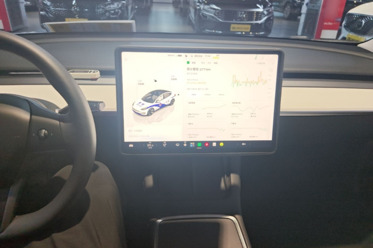 Tesla Model 3 2022 imagem de carro #10