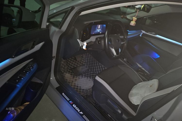 Volkswagen Golf 2021 car image #18