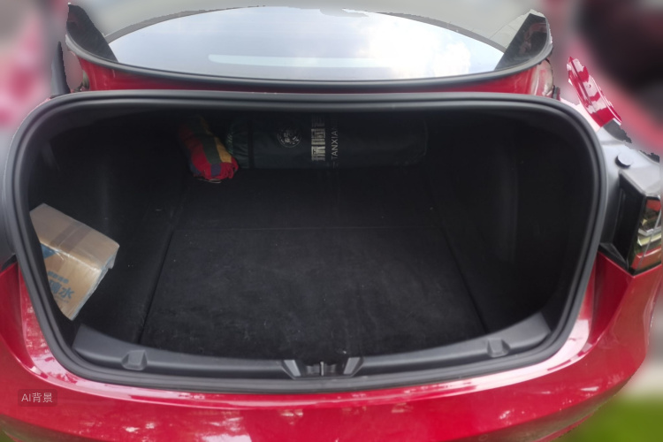 Tesla Model 3 2021 #21 Tesla Model 3 2021 car image #21