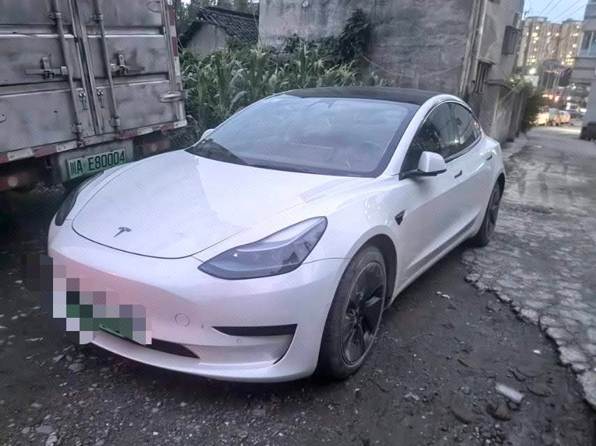 Tesla Model 3 2023 Tesla Model 3 2023 car image