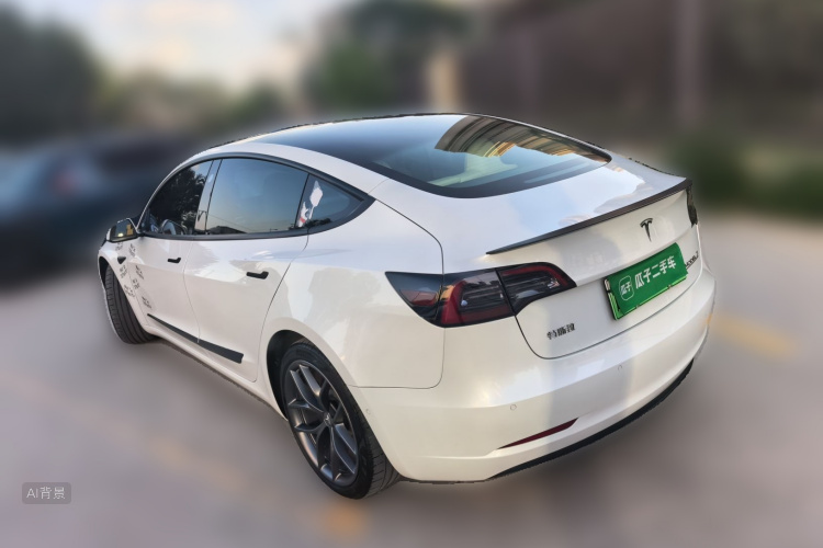 Tesla Model 3 2021 car image #5