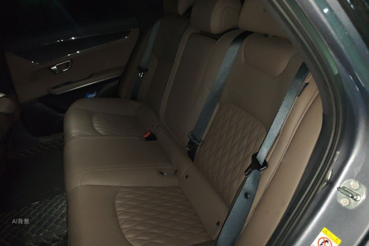 BYD Han 2021 #19 BYD Han 2021 car image #19