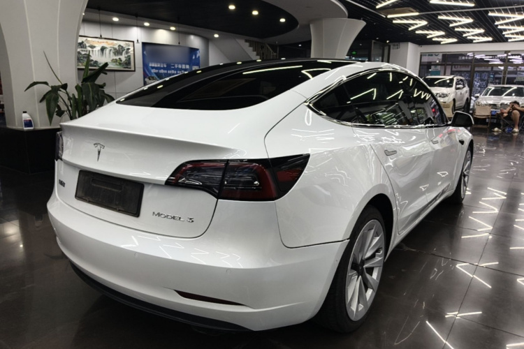 Tesla Model 3 2023 #7 Tesla Model 3 2023 car image #7