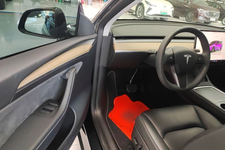 Tesla Model Y 2023 car image #16