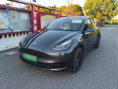Tesla Model Y 2024 immagine di auto 