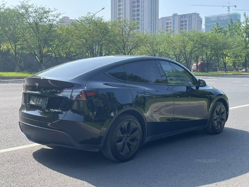 Tesla Model Y 2023 car image #7