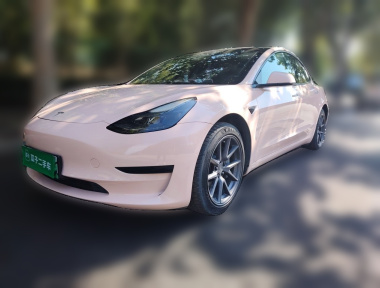 Tesla Model 3 2023 Tesla Model 3 2023 car image