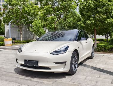 Tesla Model 3 2020 Tesla Model 3 2020 immagine di auto