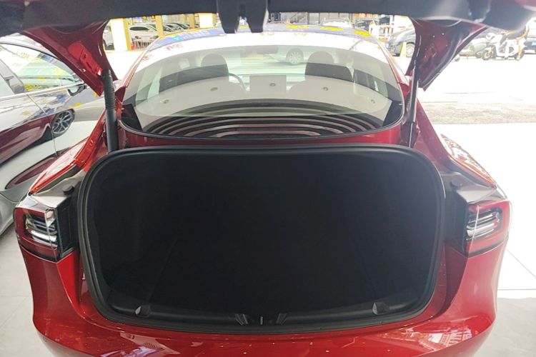 Tesla Model 3 2021 #19 Tesla Model 3 2021 car image #19