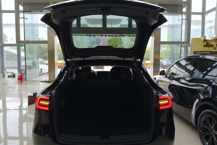 Tesla Model Y 2023 #19 Tesla Model Y 2023 car image #19