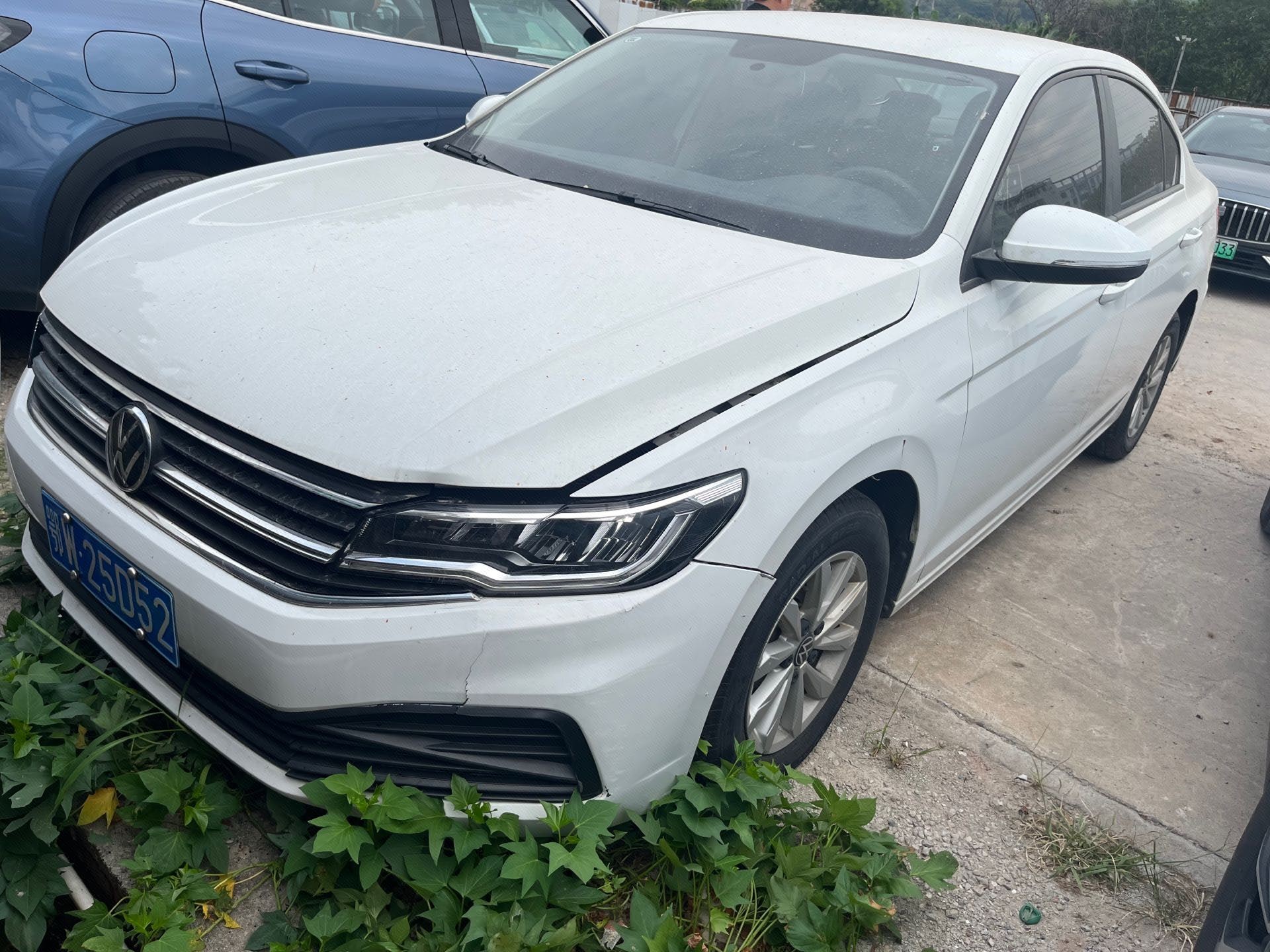 Volkswagen Bora 2023 immagine di auto 