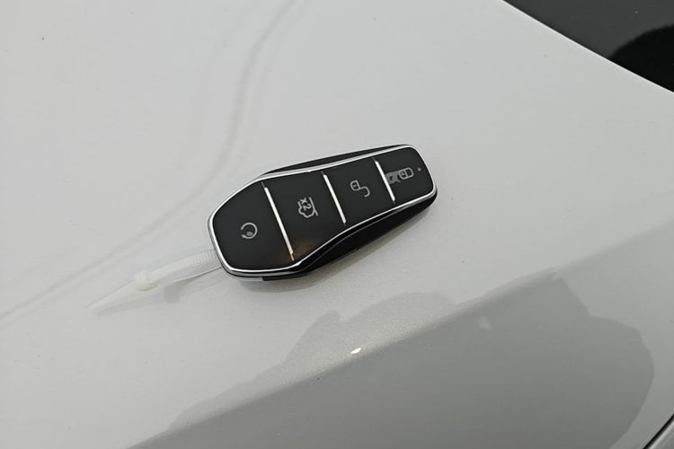 BYD Yuan Plus 2024 #9 BYD Yuan Plus 2024 immagine di auto #9