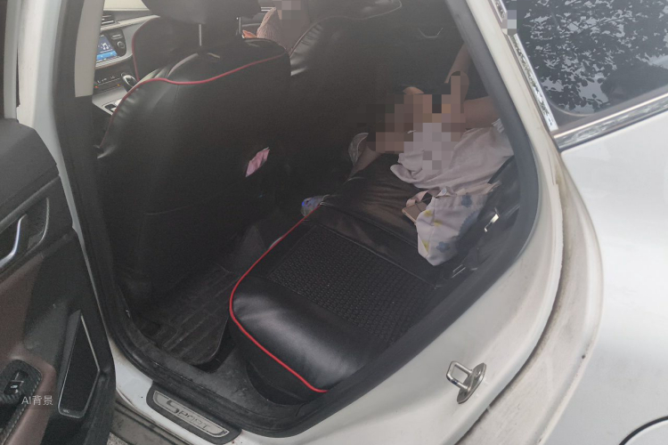 GEELY Emgrand GS 2017 car image #19