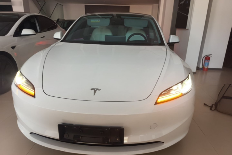 Tesla Model 3 2025 immagine di auto #3