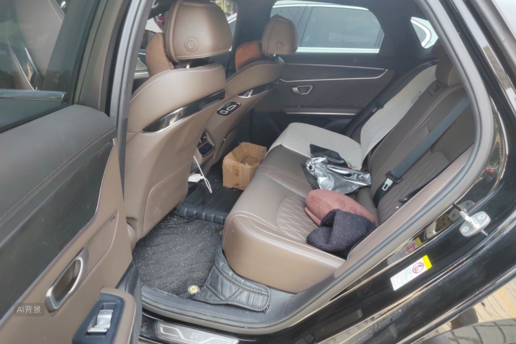 BYD Han 2022 car image #19