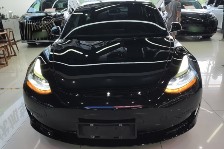 Tesla Model 3 2022 #3 Tesla Model 3 2022 car image #3