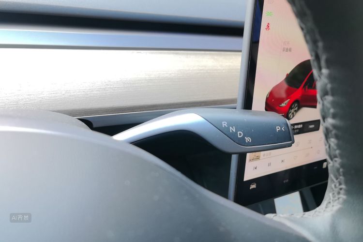Tesla Model Y 2021 car image #16
