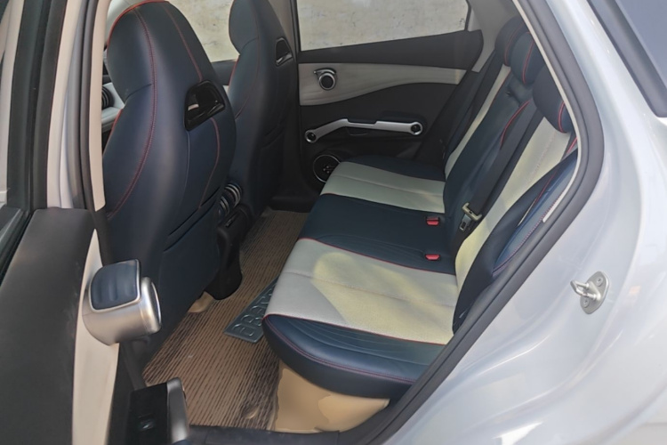 BYD Yuan Plus 2022 car image #17