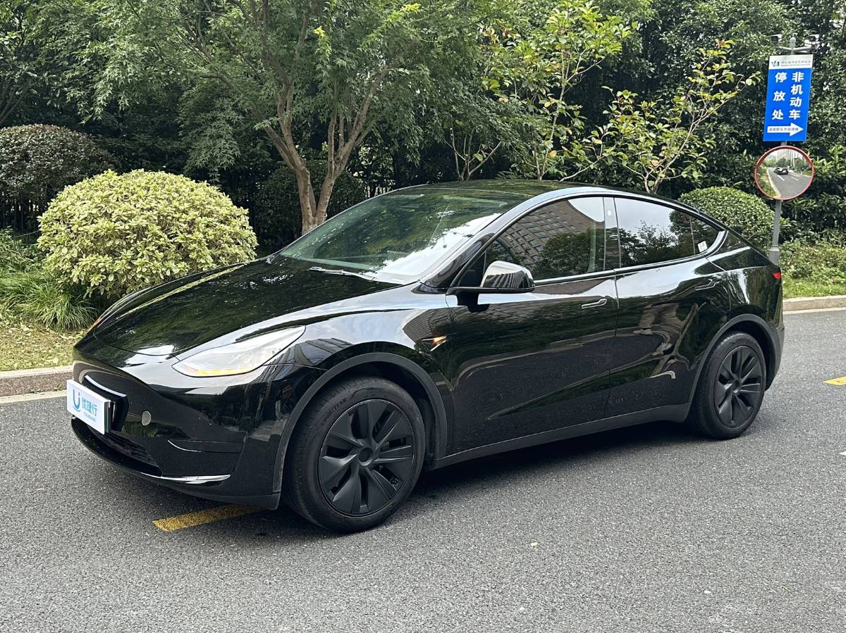 Tesla Model Y 2024 car image 