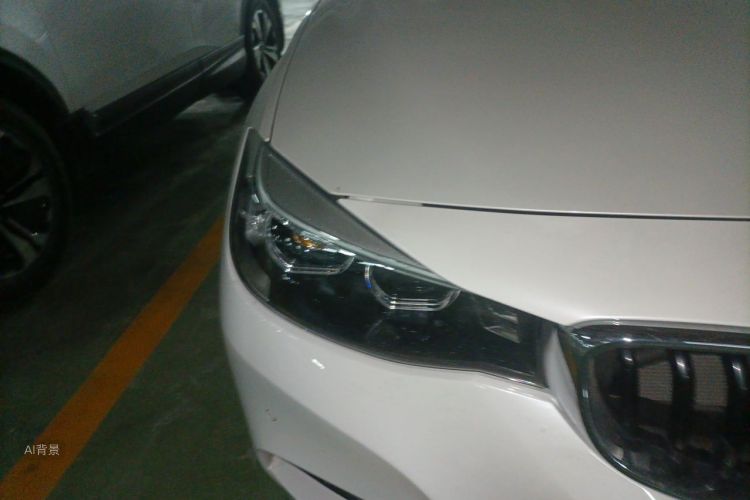BMW 3 Series GT 2021 car image #8