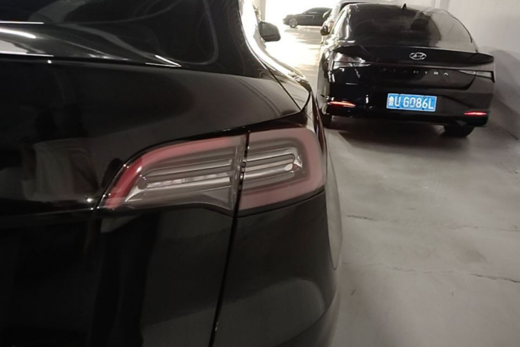 Tesla Model Y 2023 #8 Tesla Model Y 2023 car image #8
