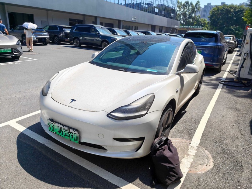 Tesla Model 3 2020 Tesla Model 3 2020 car image