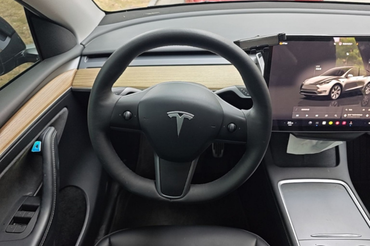Tesla Model Y 2023 #15 Tesla Model Y 2023 car image #15