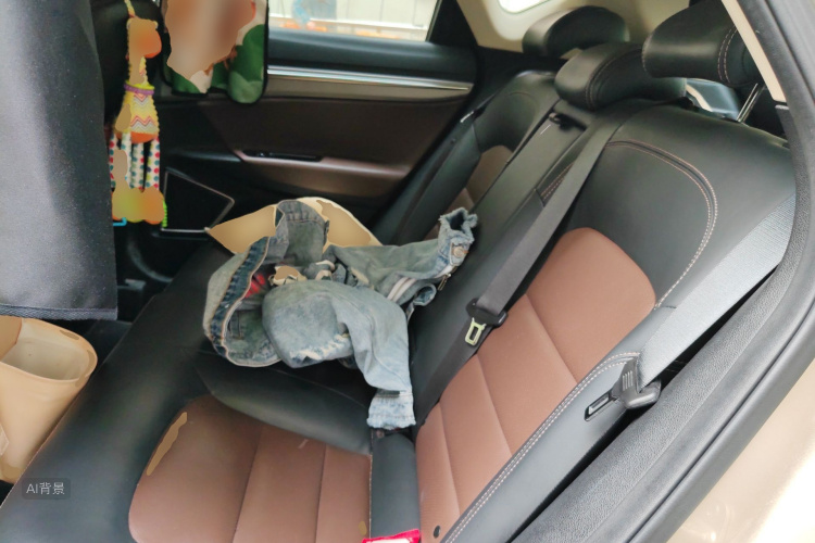 GEELY Emgrand GS 2019 immagine di auto #19