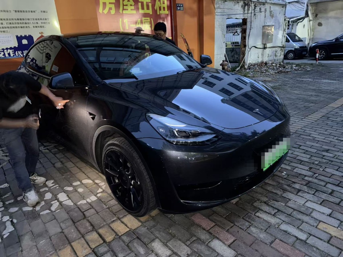 Tesla Model Y 2024 car image 