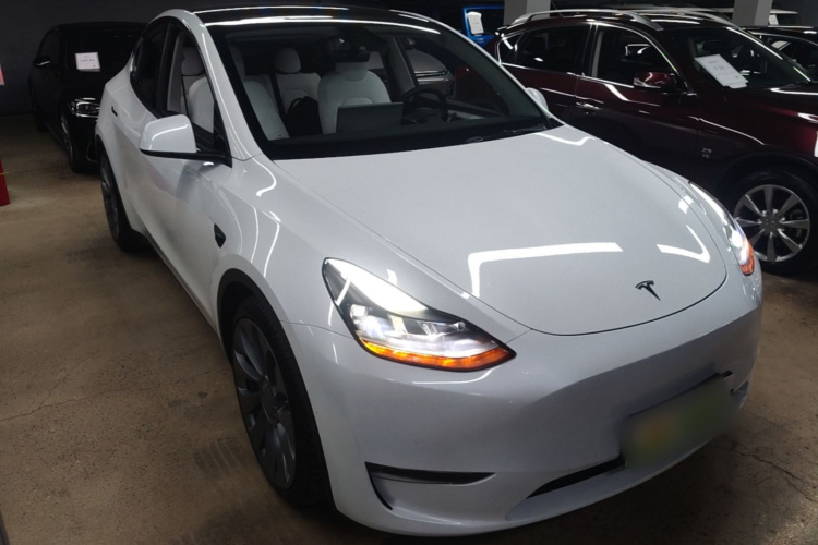 Tesla Model Y 2021 car image #6