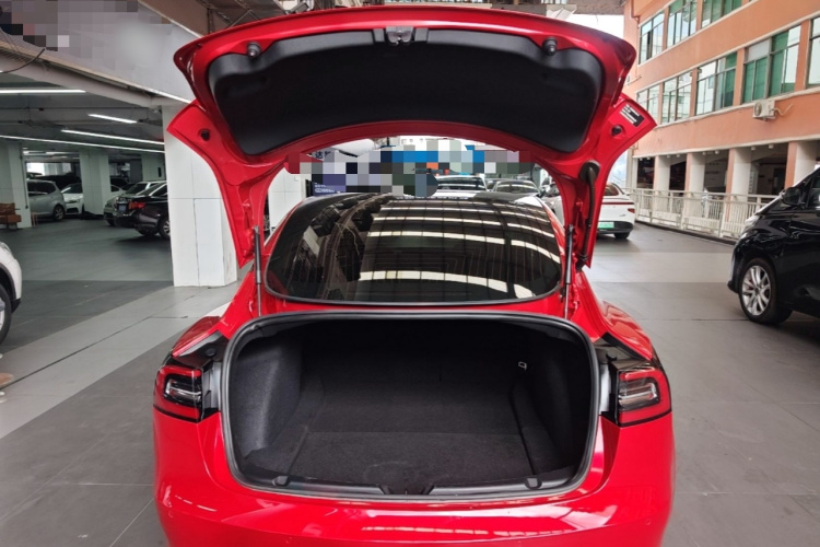 Tesla Model 3 2020 car image #19