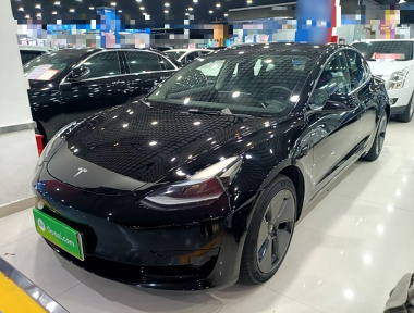 Tesla Model 3 2022 Tesla Model 3 2022 car image