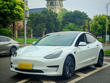 Tesla Model 3 2021 Tesla Model 3 2021 car image