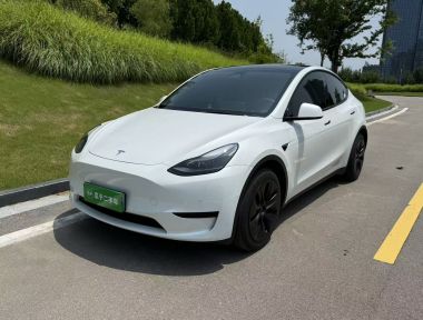 Tesla Model Y 2023 car image 